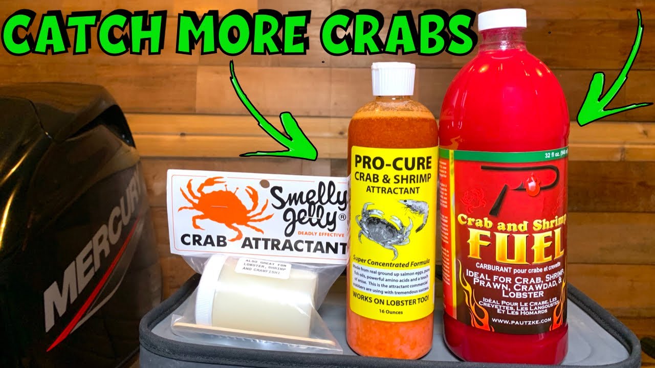Top 3 Dungeness Crab Attractants Review & Crabbing Tips (Which Is My FAVORITE???)