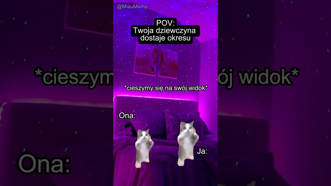KOCIE MEMY 🐱 POV: Twoja dziewczyna dostaje okresu  #catmemes   #koty   #memy   #relatable  #relacje