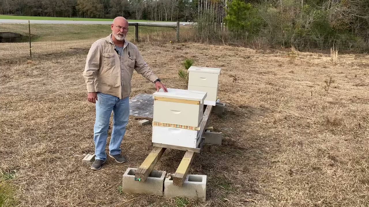 Checking on a combination after the snow storm