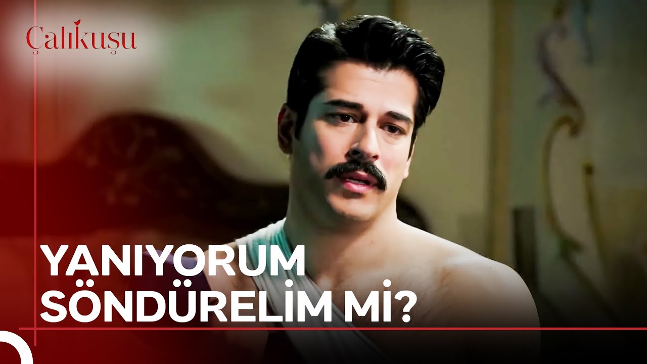 Pansuman Bahane, Romantizm Şahane 😉 | Çalıkuşu