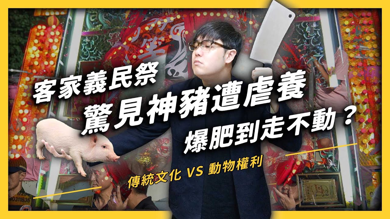【 志祺七七 】客家義民祭一定要舉辦「神豬比賽」嗎？傳統文化跟動物權利到底哪個比較重要？《 台味七七 》EP 005