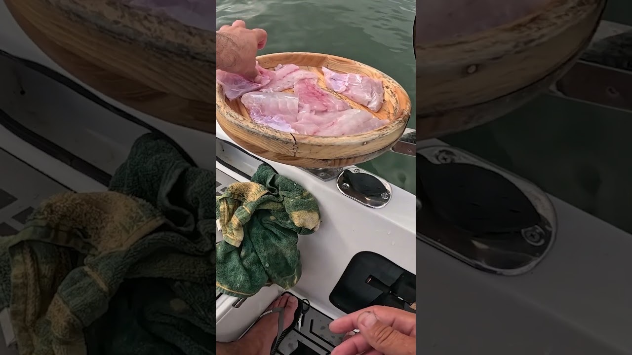 Limpando e preparando peixe na pescaria! Pescada amarela🤤