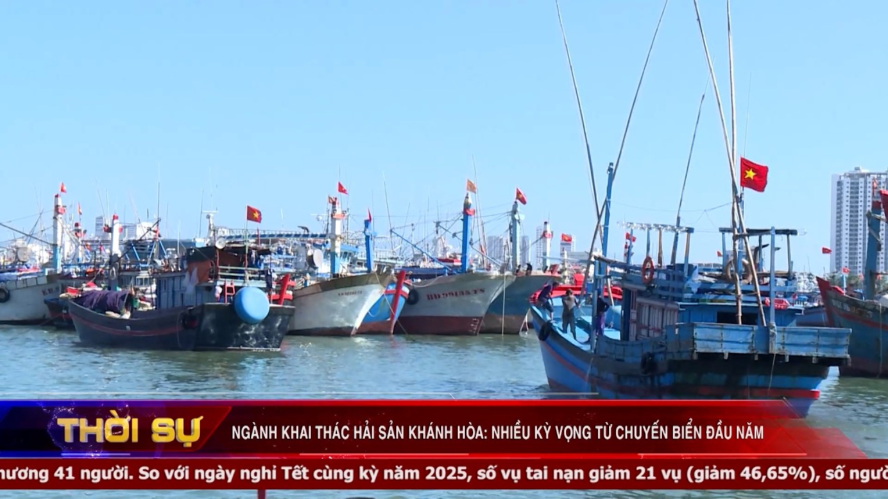 Ngành khai thác hải sản Khánh Hòa: Nhiều kỳ vọng từ chuyến biển đầu năm | Thời sự tối 18.2.2026