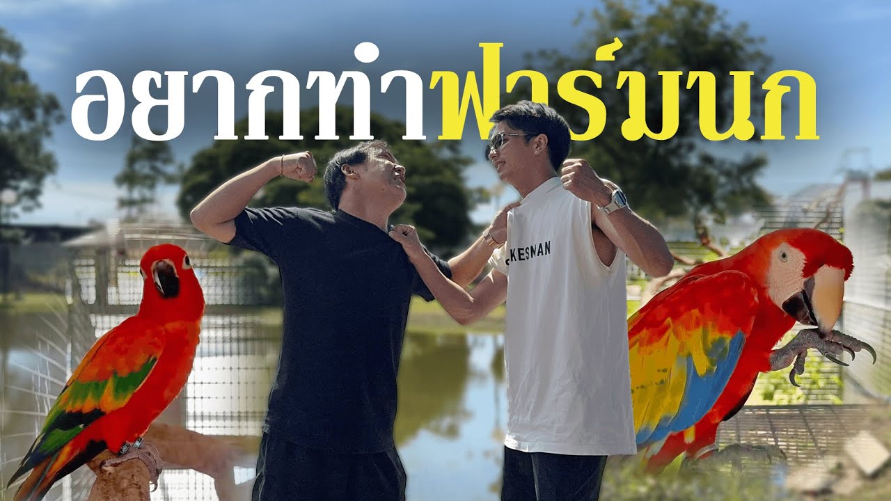 อยากทำฟาร์มนก 