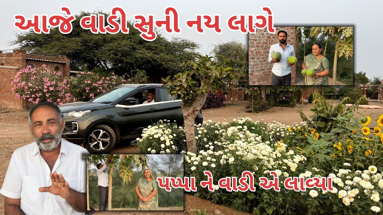 પપ્પા એ વાડી માં આટો માર્યો | આજે વાડી સુની નય લાગે | village life |farmer life | #village  