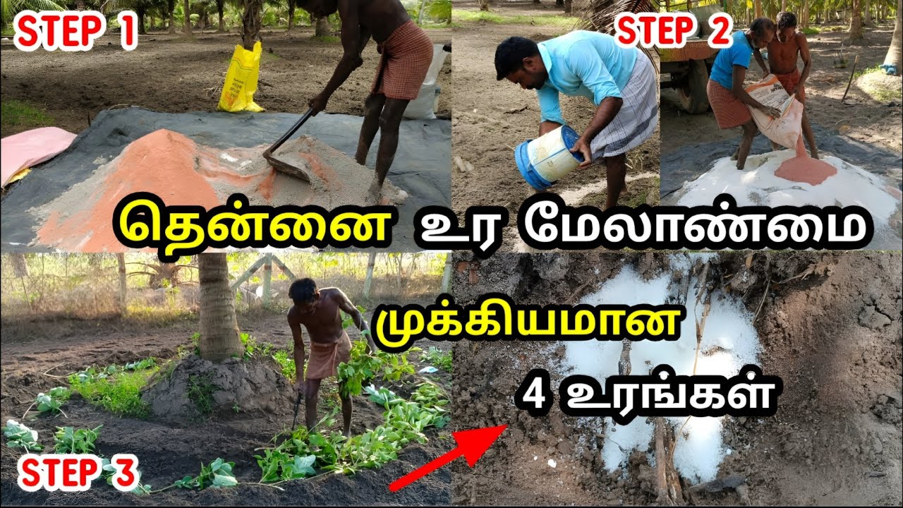 தென்னைக்கான உர பயன்பாடு / A - Z / Fertilizer schedule for coconut tree | Tamil