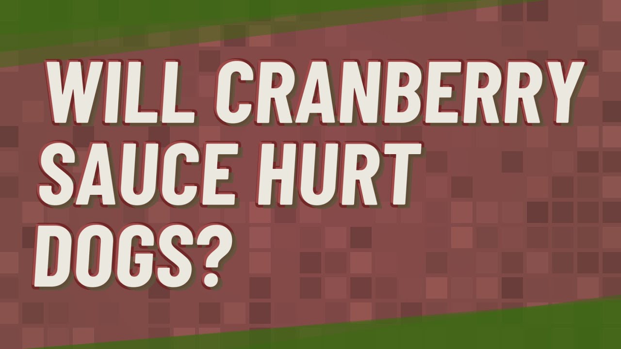 Will cranberry sauce hurt dogs?