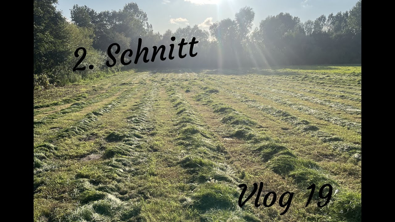 FarmVlog# 19 | 2. Schnitt | Heu im September