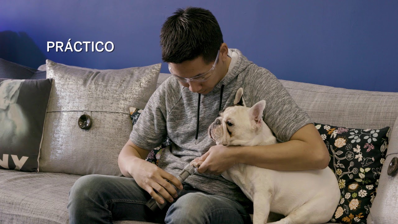 Introducci&oacute;n al limador de u&ntilde;as para mascotas