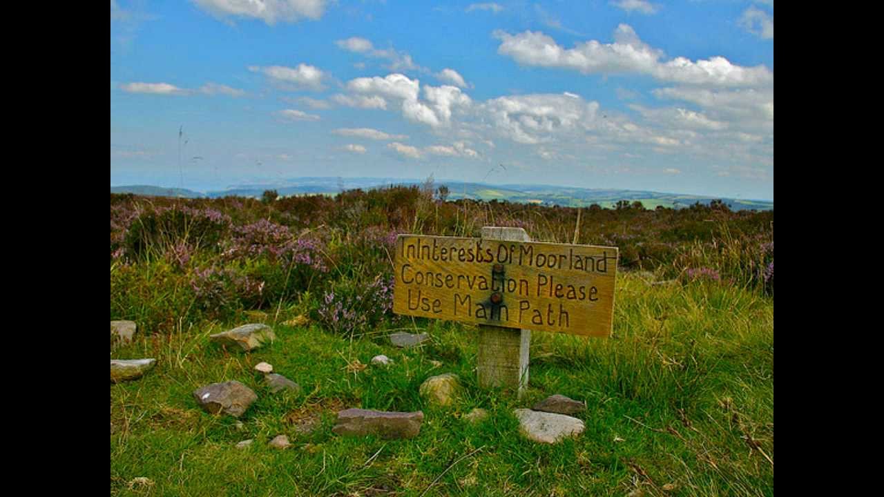 The Moorlands