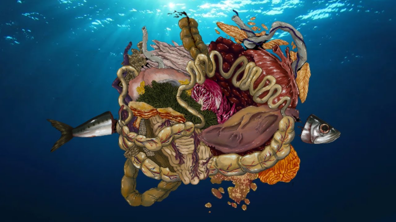 The Illusion of Choice | How Fish is Made