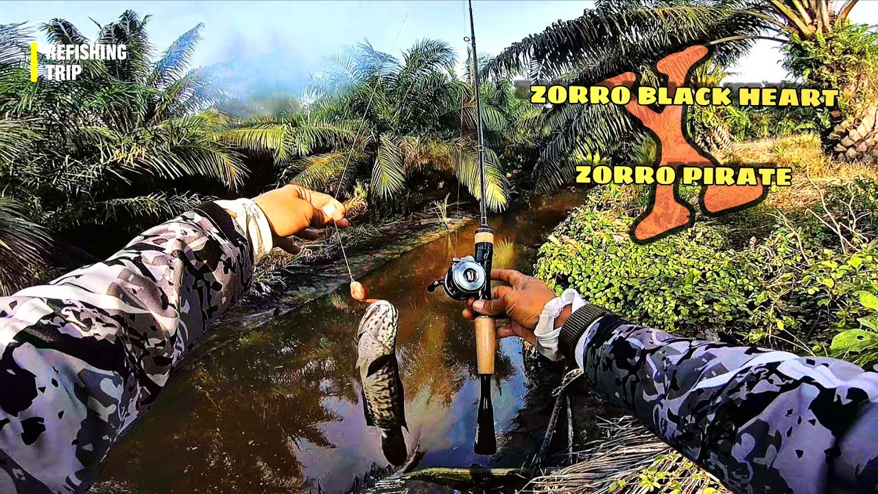 FIELDTEST ZORRO PIRATE ‼️ SETANGGUH APA REEL INI ⁉️