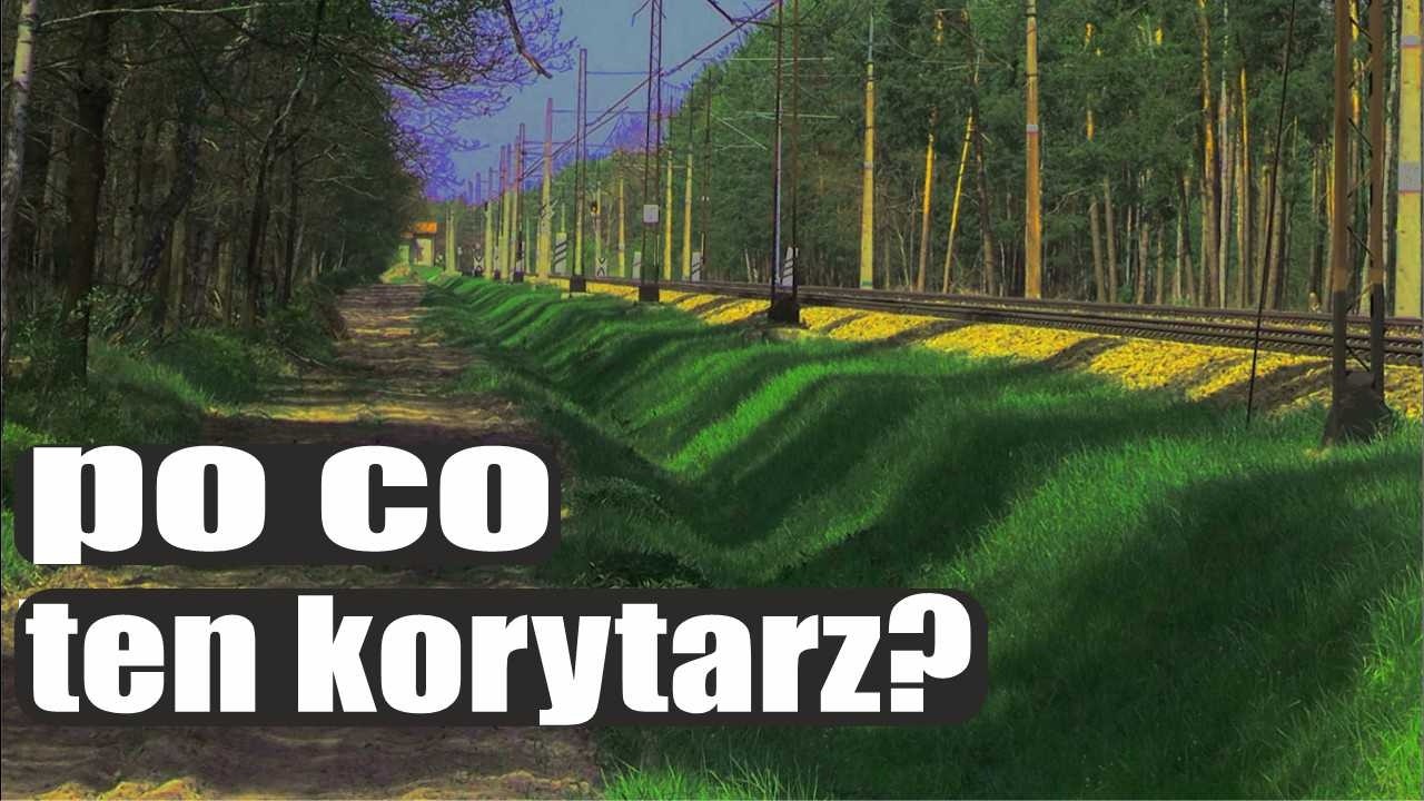 Parę sł&oacute;w o&hellip; ODC. 209 &ndash; 📢 DLACZEGO TORY BIEGNĄ PRZEZ LASY? 📢
