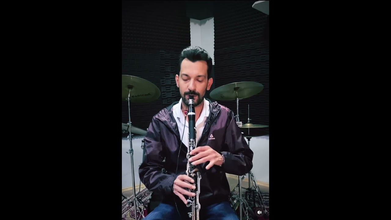 Sezen Aksu- Kolay Olmayacak Klarnet ( Kısa)