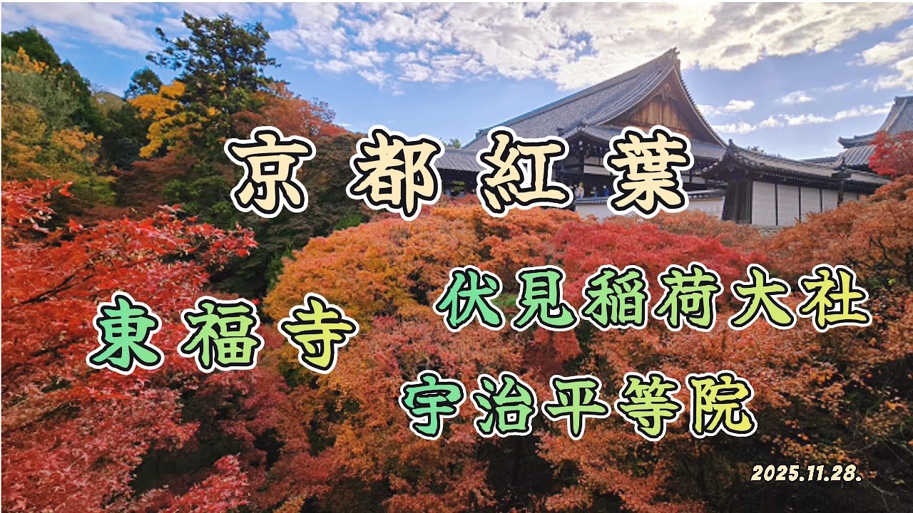 【2025 日本關西紅葉之旅】京都∣東福寺 紅葉見頃∣伏見稻荷大社∣宇治平等院∣和服體驗∣日本關西自由行10天
