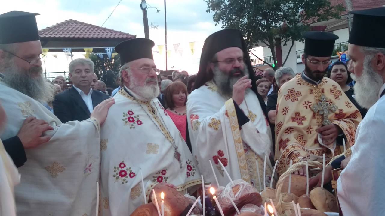 Miriofito ANALIPSI 9