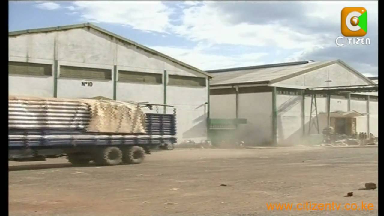 Warning Over Purchase of Bad Maize
