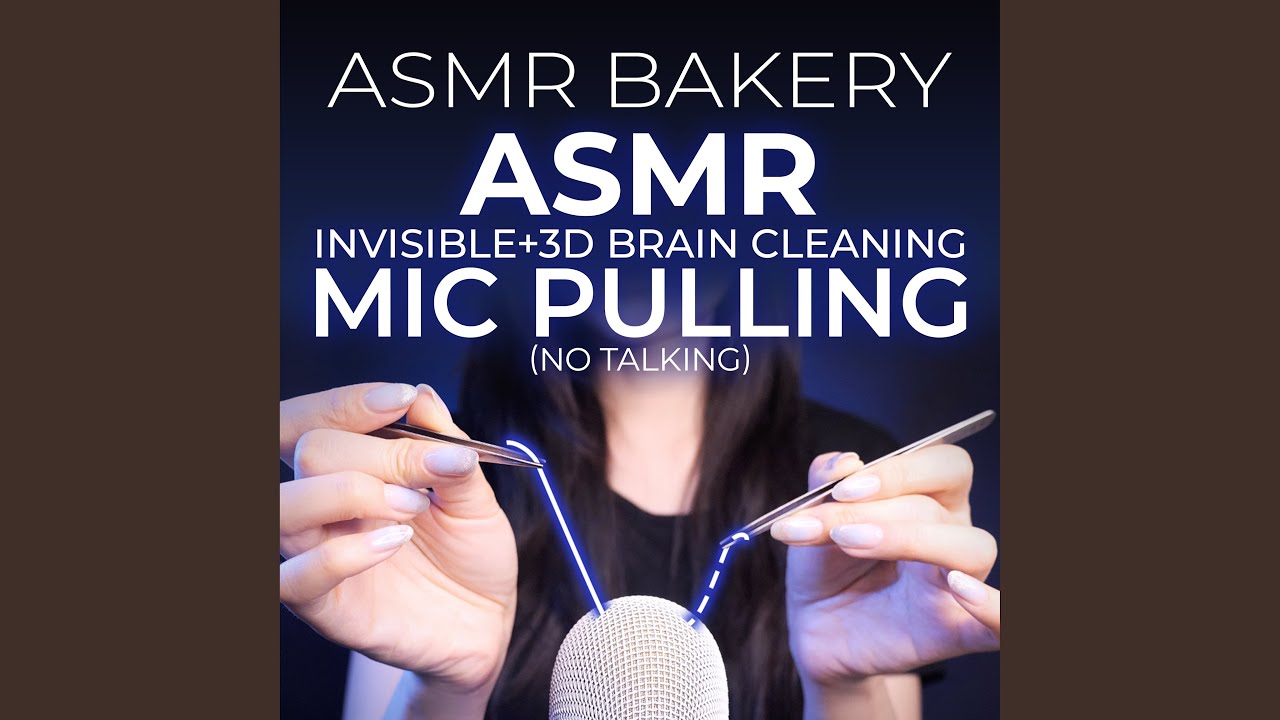 Fluffy Mic Cover Brain Massage