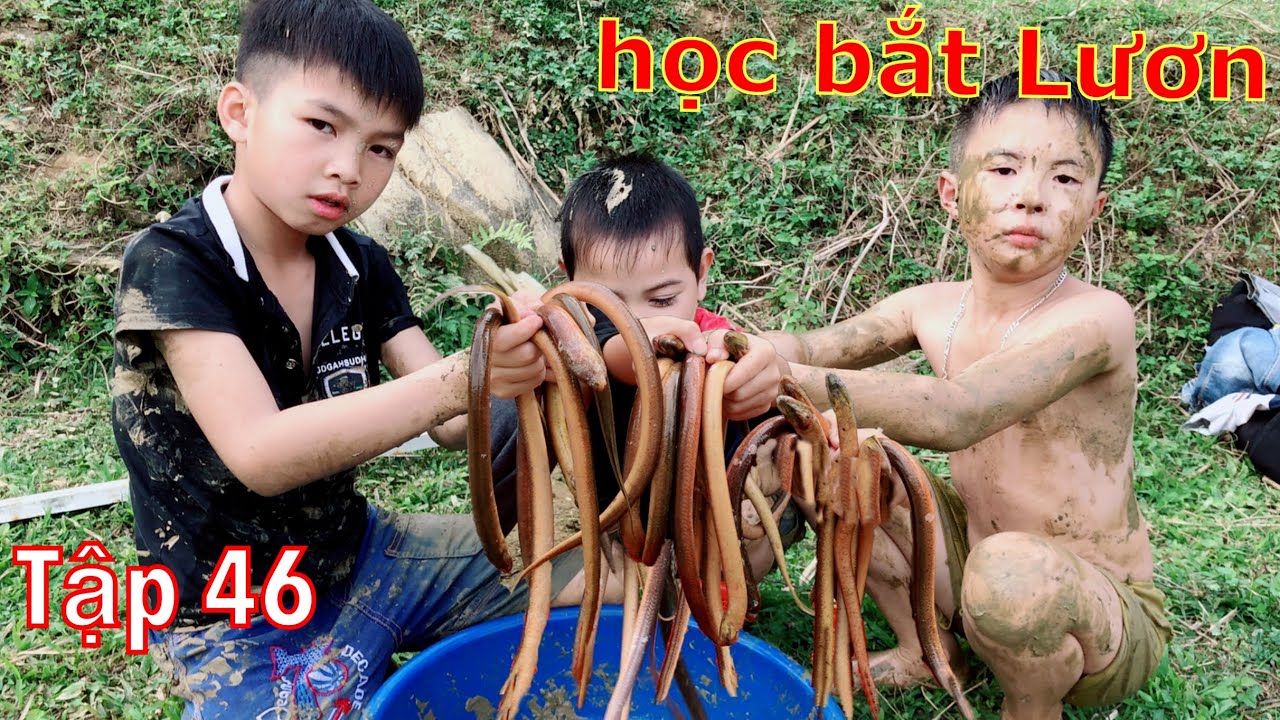 DTVN Vlog : (Tập 46) Bài học nhớ đời cho kẻ giám bắt nạt trẻ trâu ( ĐI BẮT LƯƠN )