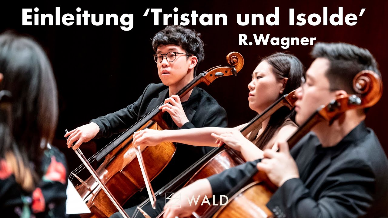 R.Wagner Einleitung 'Tristan und Isolde' for 6 Cello | Wald Cello