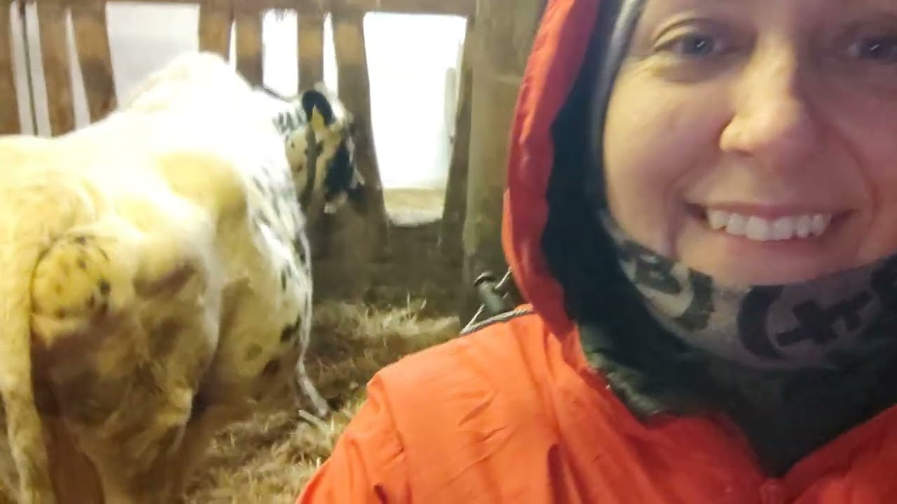 TÄÄLLÄ ON VASTASYNTYNYT!