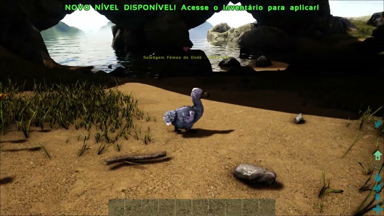 🦕🦖 ARK SURVIVAL Ragnarok - Dodô