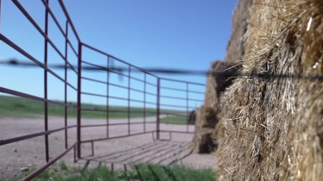 Improving access to mental health care for farmers and ranchers