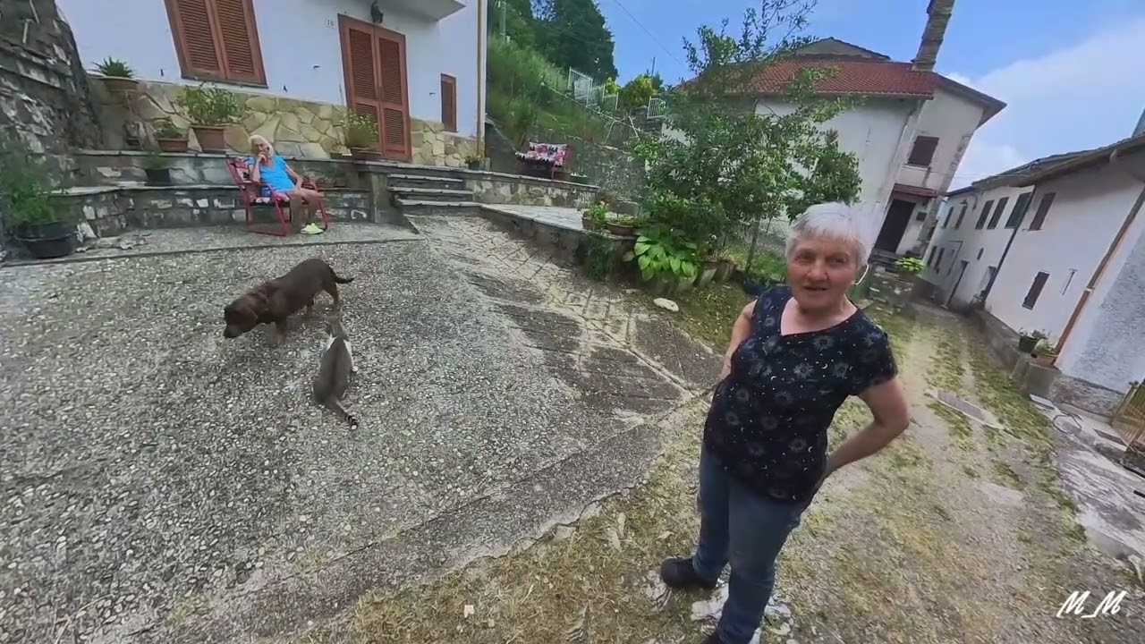 Girando per Artana in attesa della mangialonga del postino 2025 con strada di maggiociondolo fiorito