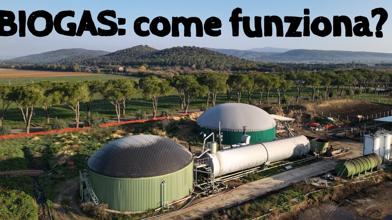 BIOGAS - Introduzione: cos'è, come si forma e come diventa energia elettrica