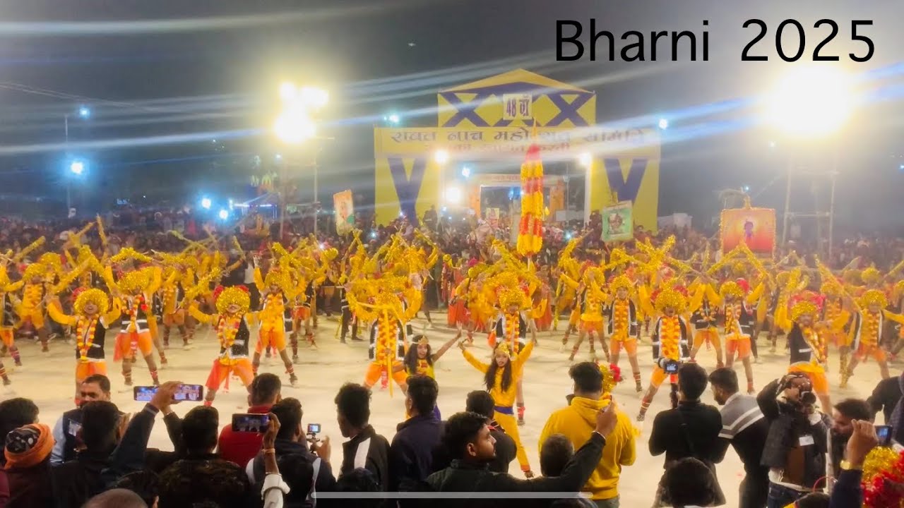 2025 राउत नाच बिलासपुर  भरनी insta id - im_sushant001 #bilaspur #chhattisgarh #raut_nacha #yadav 