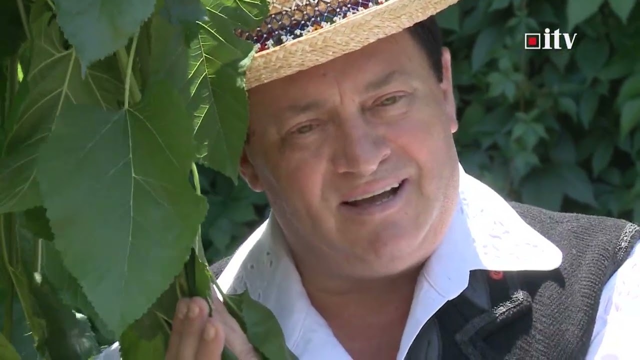 Colaj Nicolae Mureșan