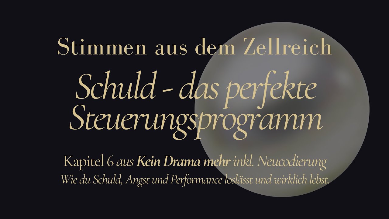 Lesung Kapitel 6 aus 