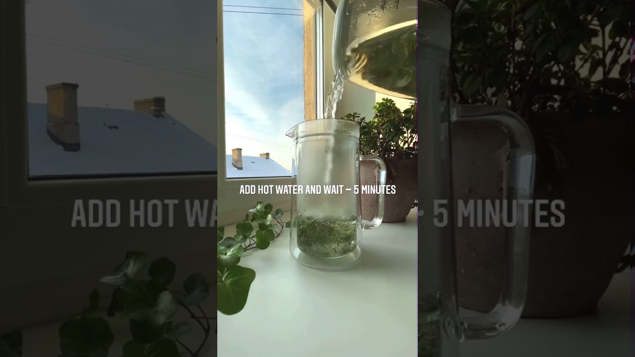 HOW TO MAKE CBD TEA from organically grown hemp in Latvia