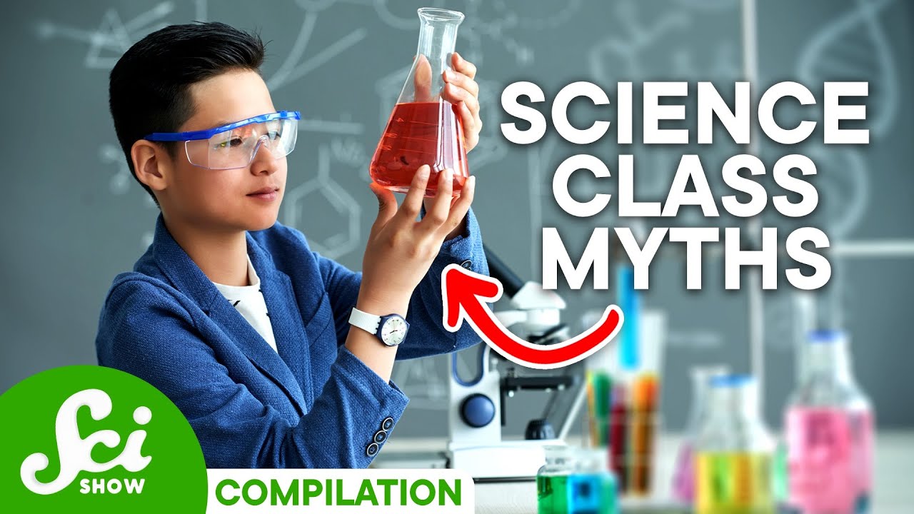 5 Lies You Were Told in School
