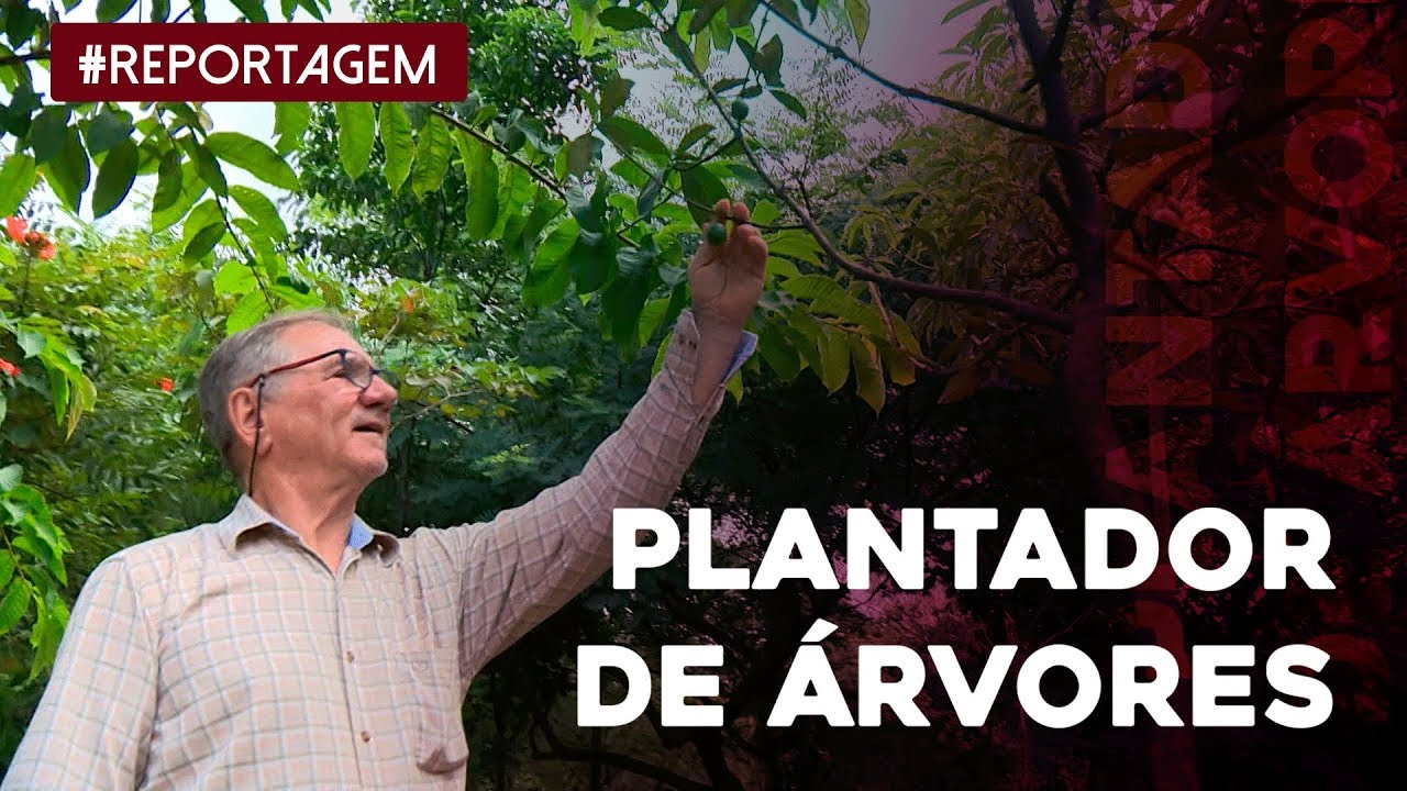 Conheça a história de Hélio da Silva, o plantador de árvores