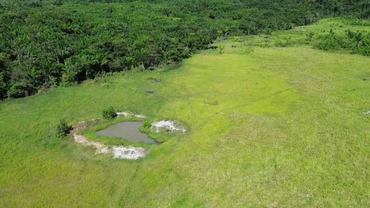 Fazenda em Roraima 