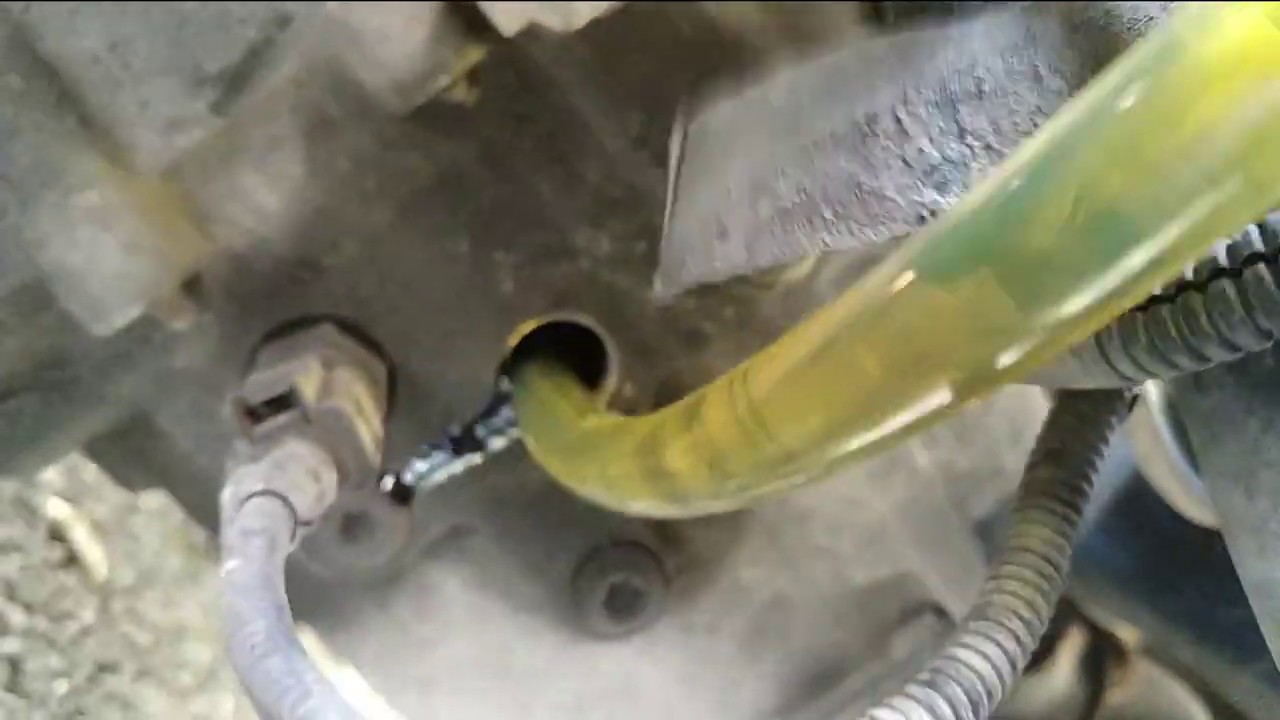 Seat Ibiza Gearbox Top Up oil Level 👨‍🔧🛢