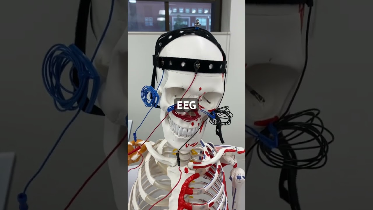 DIY Brainwave Monitoring: Biomedical Instrumentation Innovation and Insight