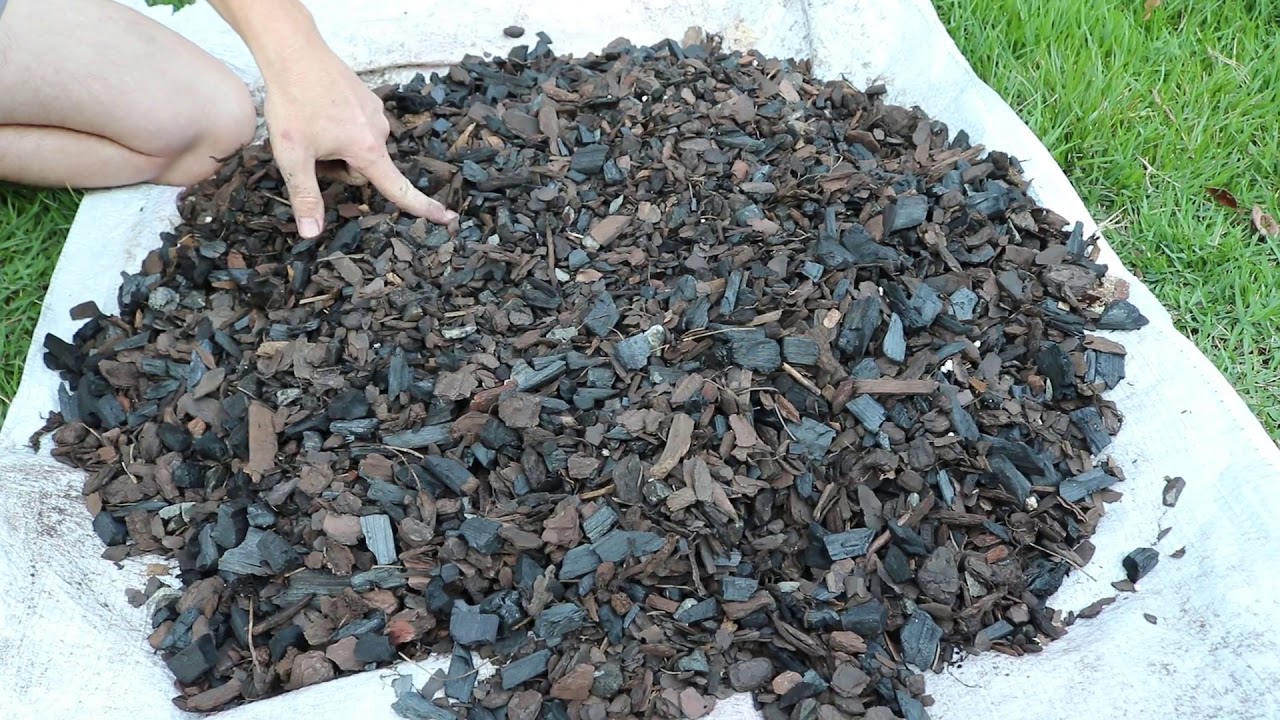 Preparando o melhor substrato para orquídeas