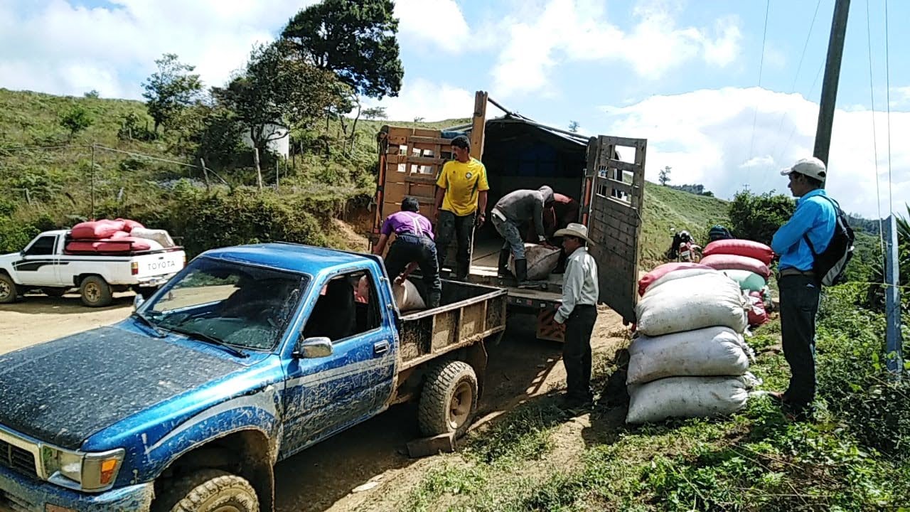 Honduras Origin Report - Farmer Improvements