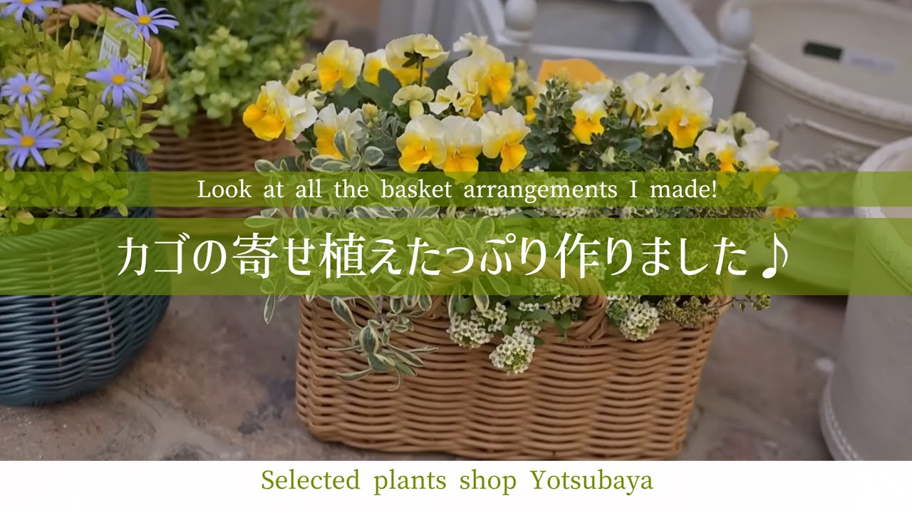 今春のニューカラー🌸ビニール素材のバスケットに寄せ植えしました♪