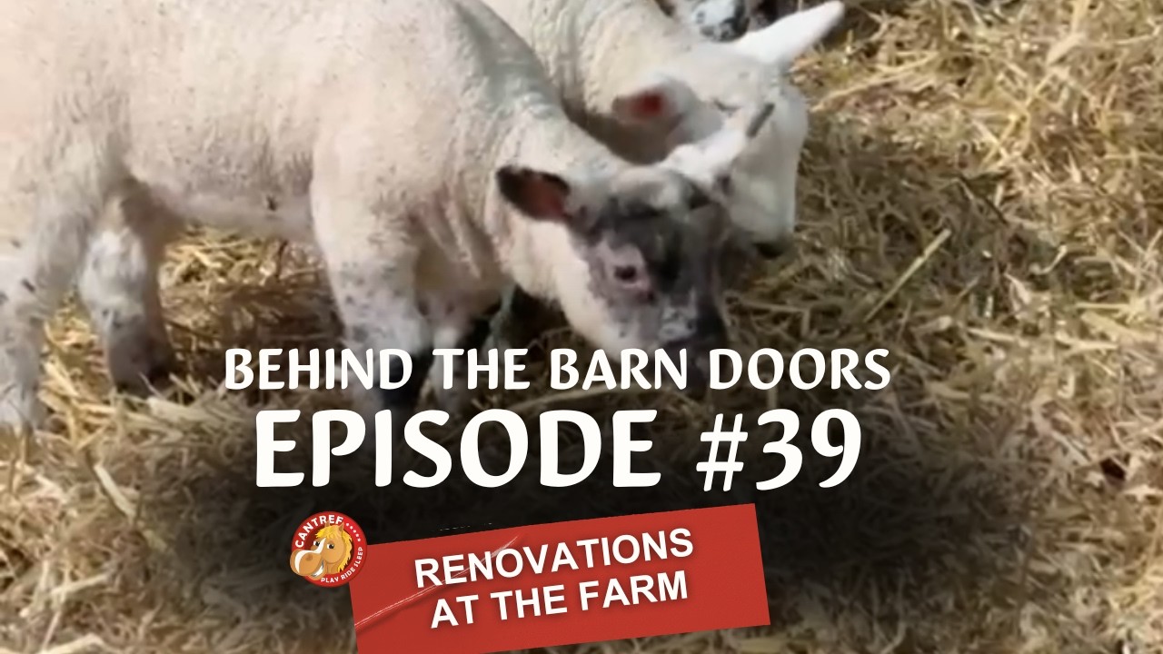 BEHIND THE BARN DOORS EPISODE 39 - SPRING LAMBS WITH FARMER COLIN | CANTREF ADVENTURE FARM