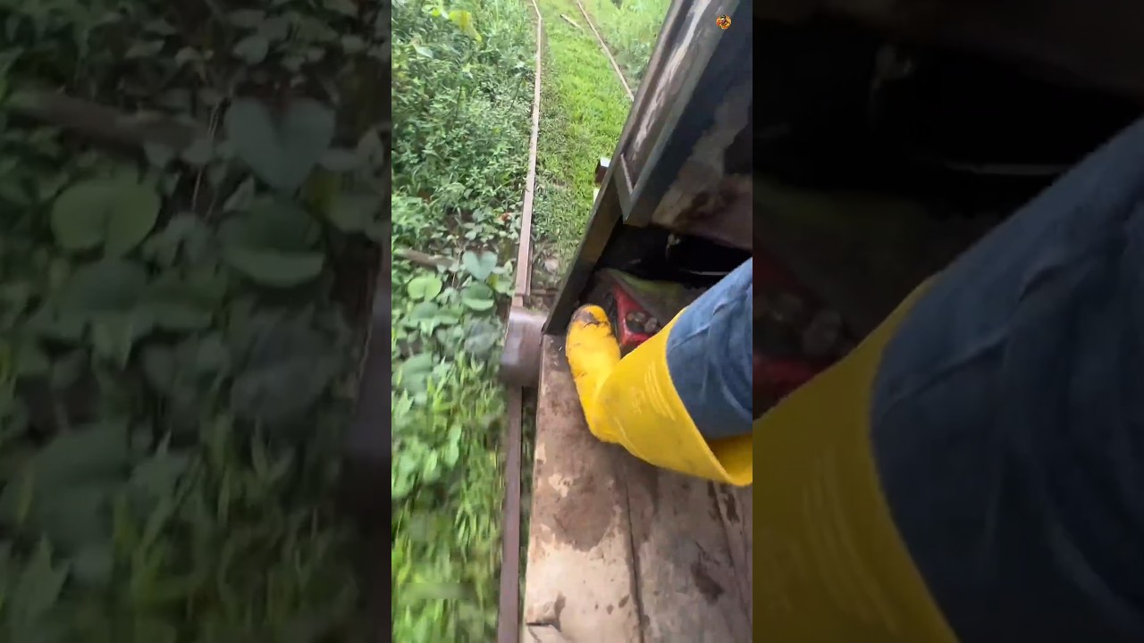 This Man Fixes Ecuador's DEADLIEST Jungle Railway 🚂