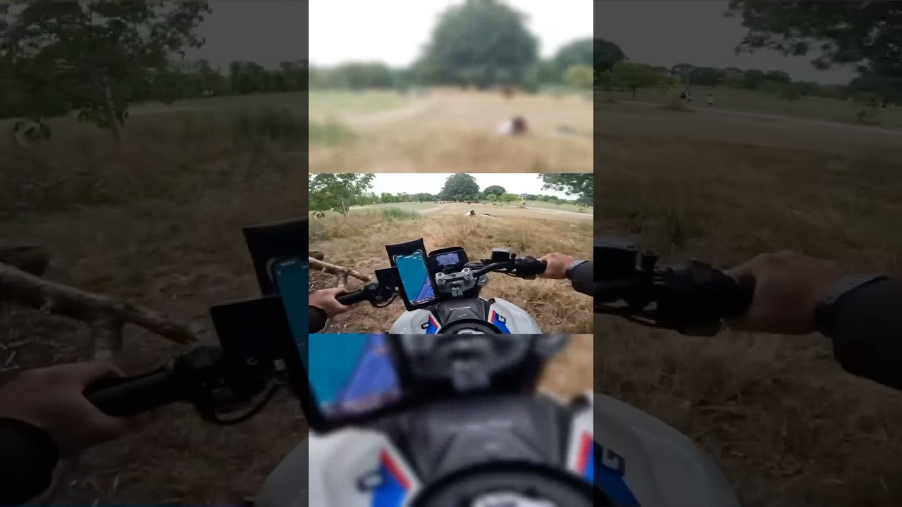 @LzsRides  erm😂 #bikelife #yamahaxj6 #bikevlog