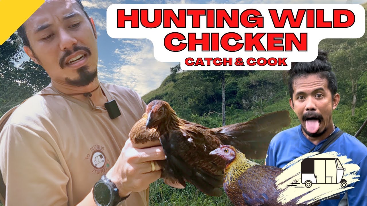 Catch and Cook - Wild Chicken Hunting in the Philippines!