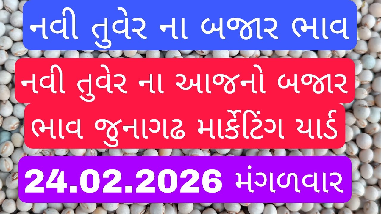 નવી તુવેર ના બજાર ભાવ / તુવર ના ભાવ આજના / નવી તુવેર ની હરાજી લાઈવ જુનાગઢ  / junagadh marketing yard