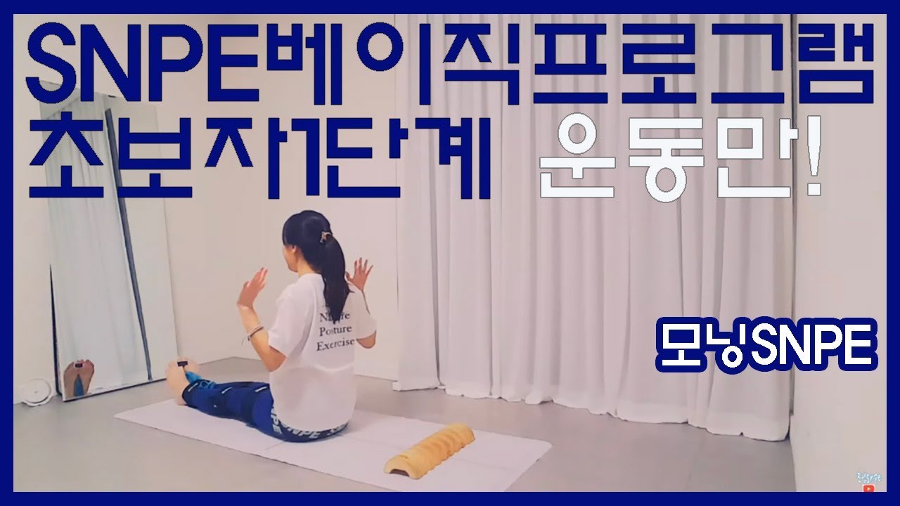 SNPE바른자세척추운동_베이직 프로그램 기본 8동작을 이용한 초보자루틴, 설명없이 운동만!