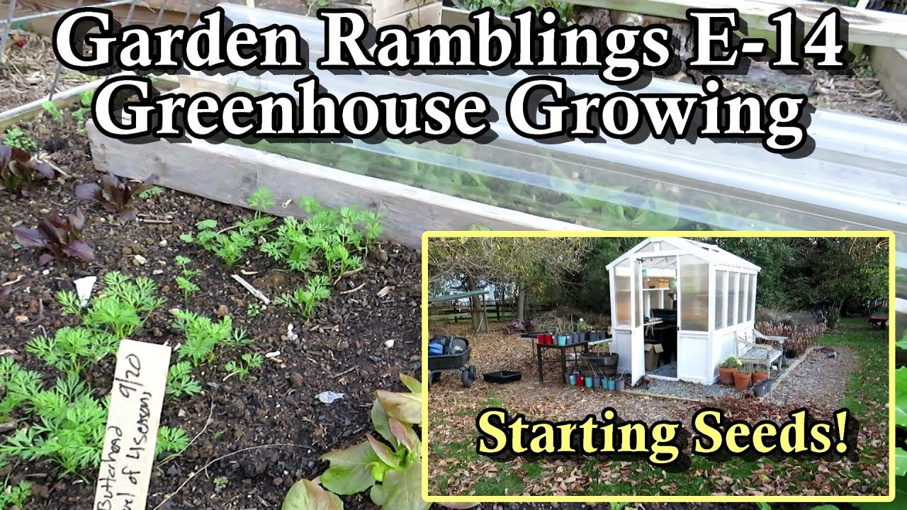 Strawberries, Winter Bed Preparation, Greenhouse Seed Starts: Garden Ramblings Tips & Tour E-14