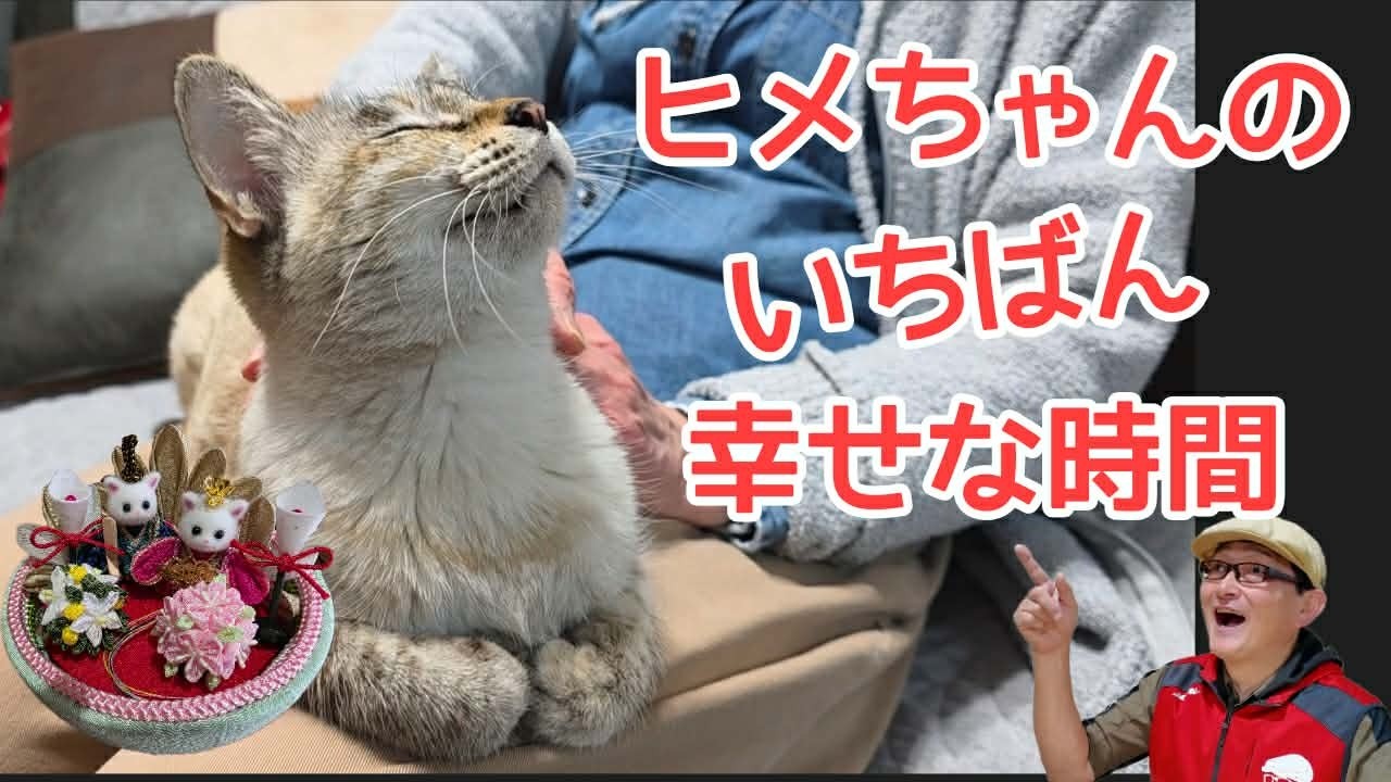 ヒメちゃんの一番幸せな時間！シックスカートとみほつ姫のヒメちゃん日記