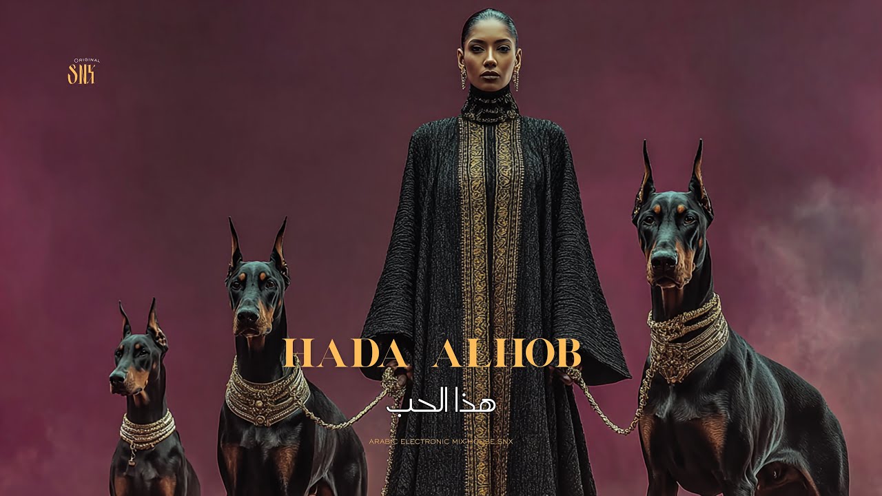 Hada Alhob | هذا الحب | Arabic Electronic Mix House SNX
